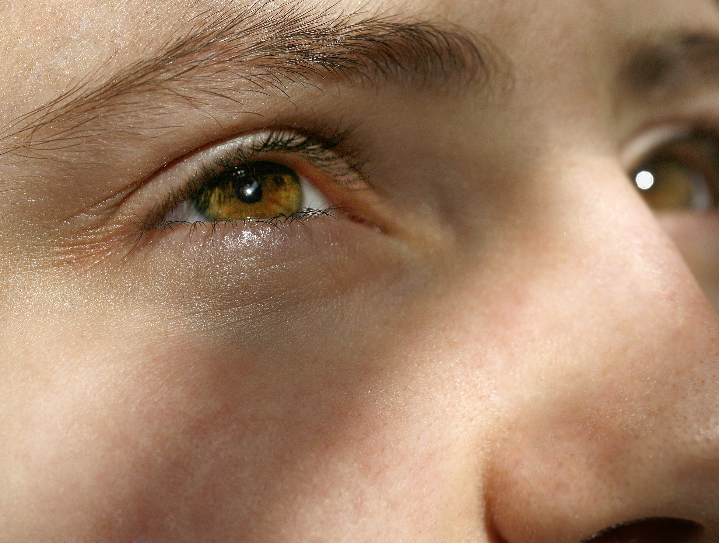 Über Geschmack läßt sich streiten Über Geschmack läßt sich streiten